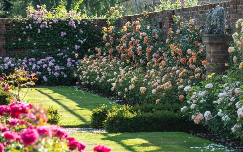Mary_Delany-_Eustacia_Vye_Dame_Judi_Dench_Lady_Of_Shallott_Bathsheba_The_Lady_Gardener_Gabriel_Oak English roses in borders