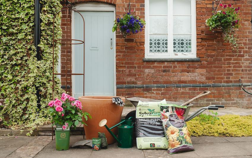 How To Plant Your Potted Climbing Rose In A Pot