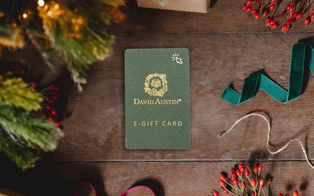 The Perfect Gifts for Gardeners this Christmas