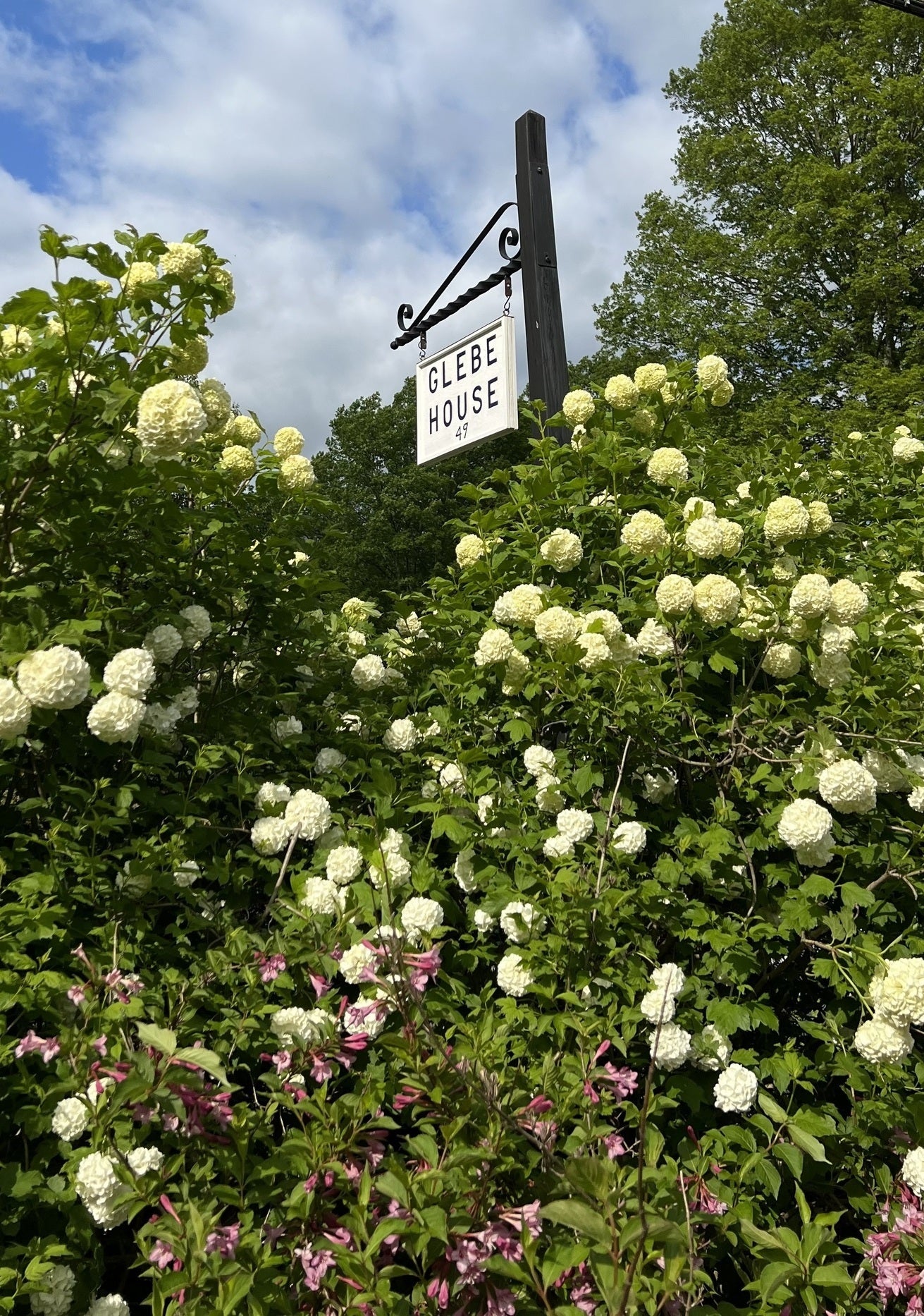 Glebe_House_Museum_Rose archway