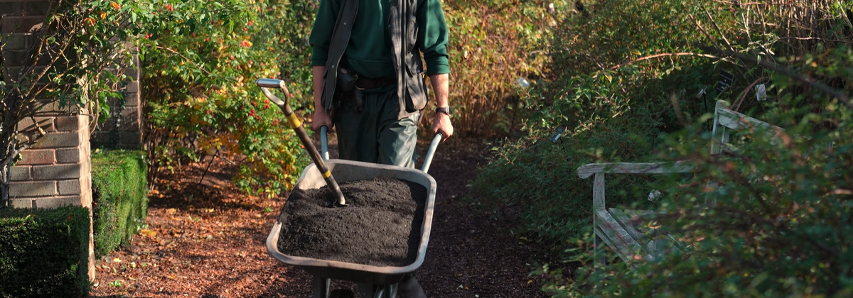 A gardener wheels a large wheelbarrow full of compost with a spade into along a garden path, passing a wooden bench