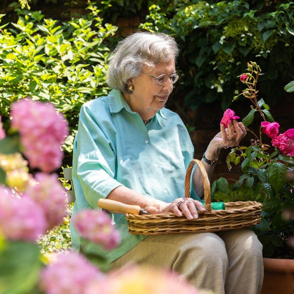 Penelope_Lively sitting looking at David Austin roses