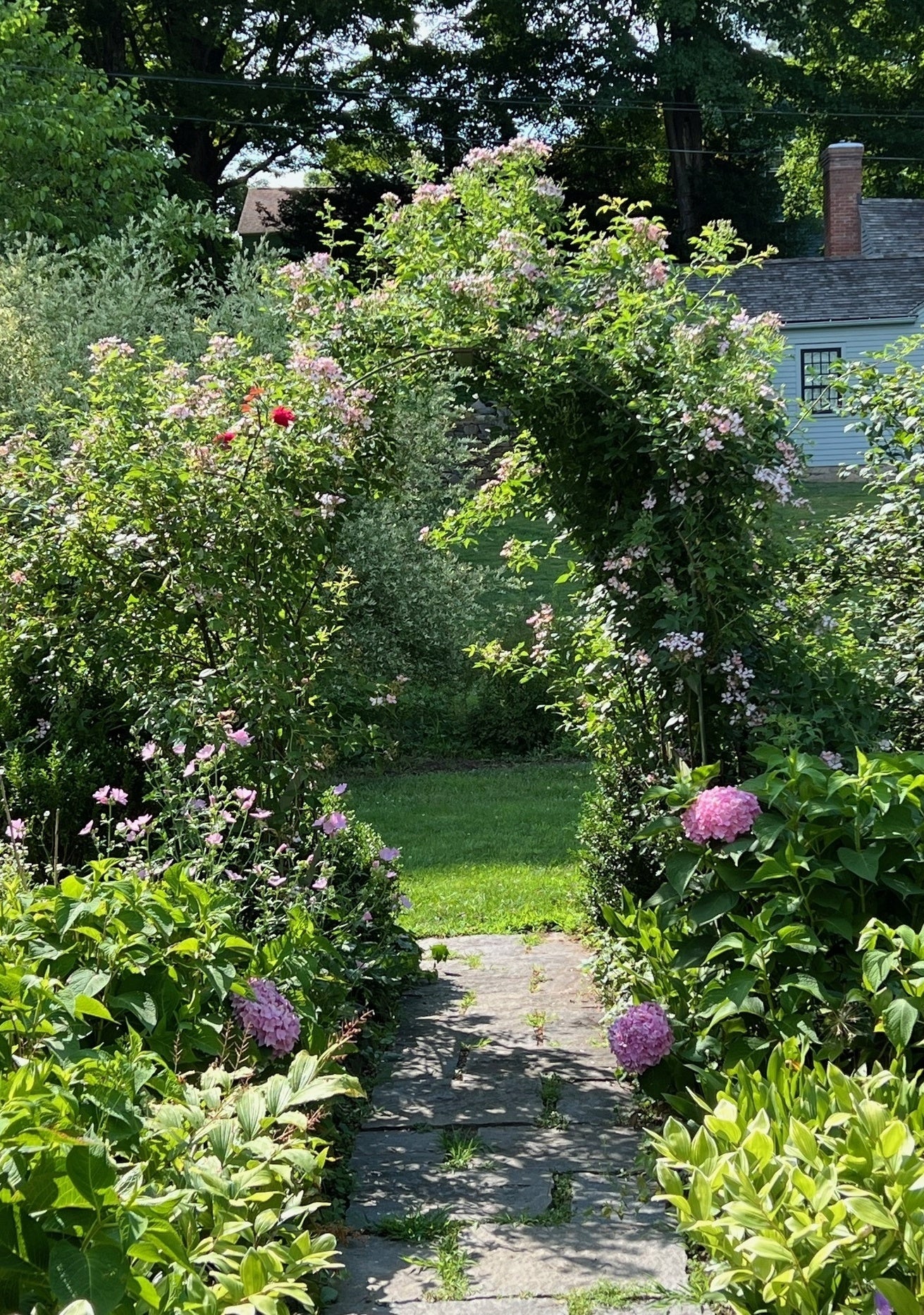Glebe_House_Museum_Rose archway