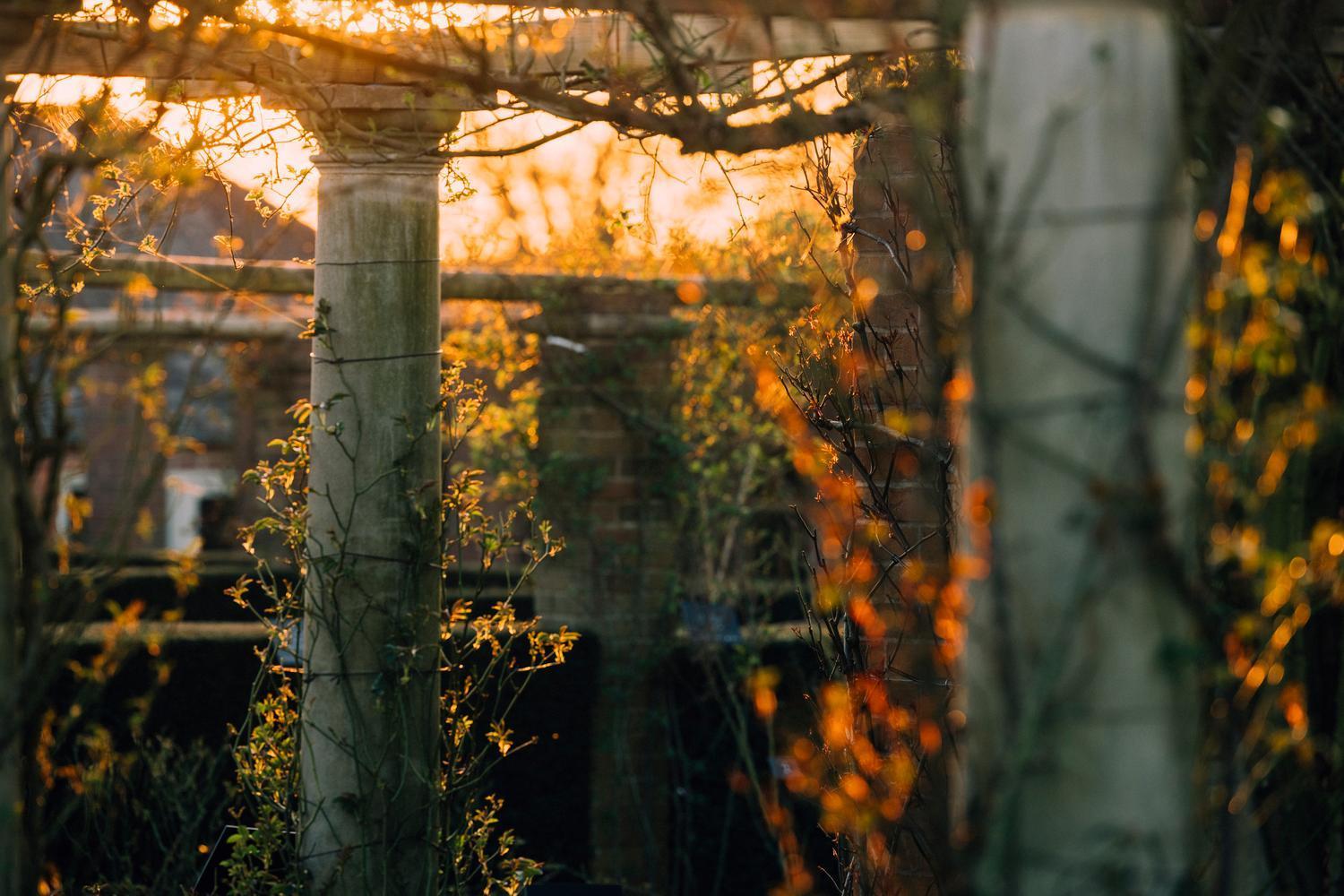 AM_winter_rose_gardens