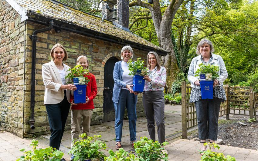 A Living Tribute: Planting Nye Bevan® (Auspital) to honour the NHS and its founder