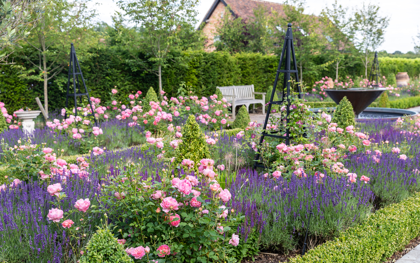 Create a Cottage Style Garden