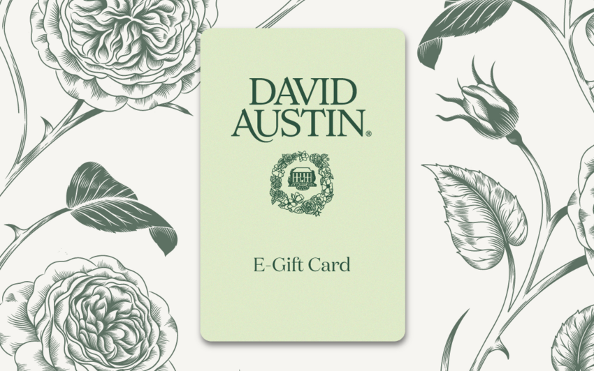 The Perfect Gifts for Gardeners this Christmas