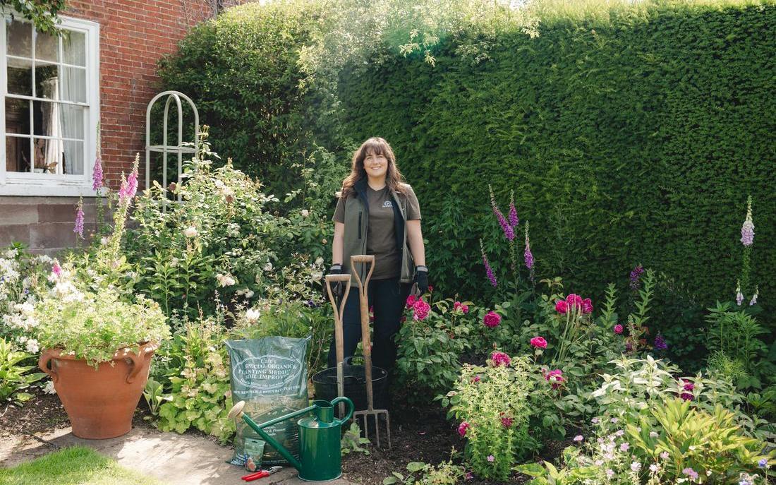 Moving a Rose: A Step-by-Step Guide