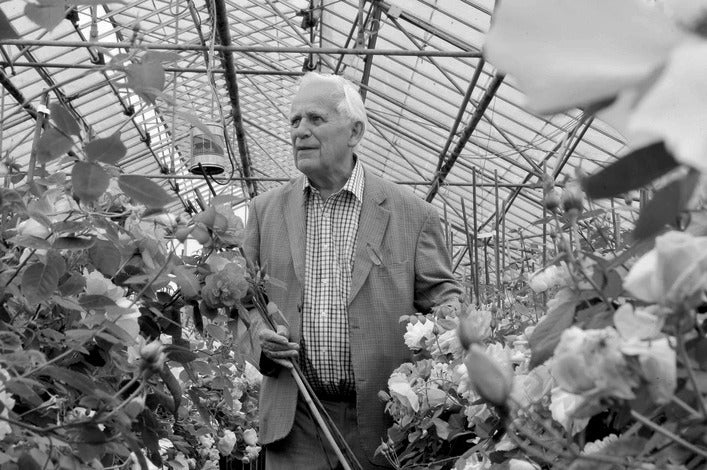 David C.H Austin’s love of Scottish roses and the rose that sparked his vision