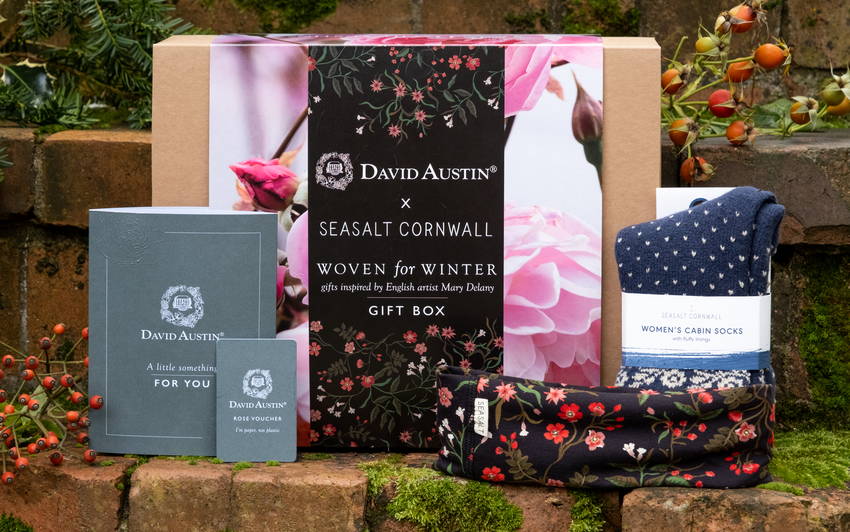 New! David Austin Roses Gift Boxes