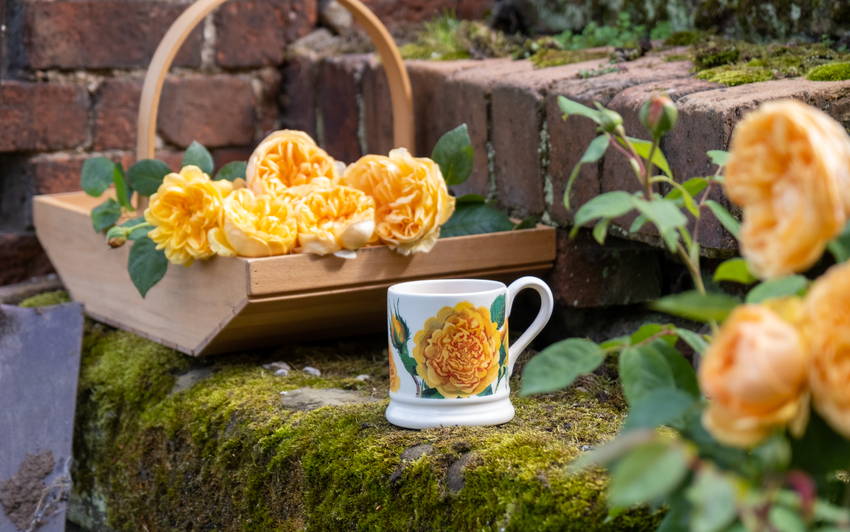 Where Blooms Meet Pottery: The Collaboration Between David Austin® Roses and Emma Bridgewater
