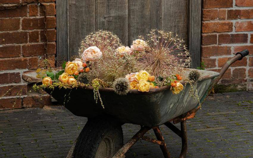 4 Garden Trends for Autumn