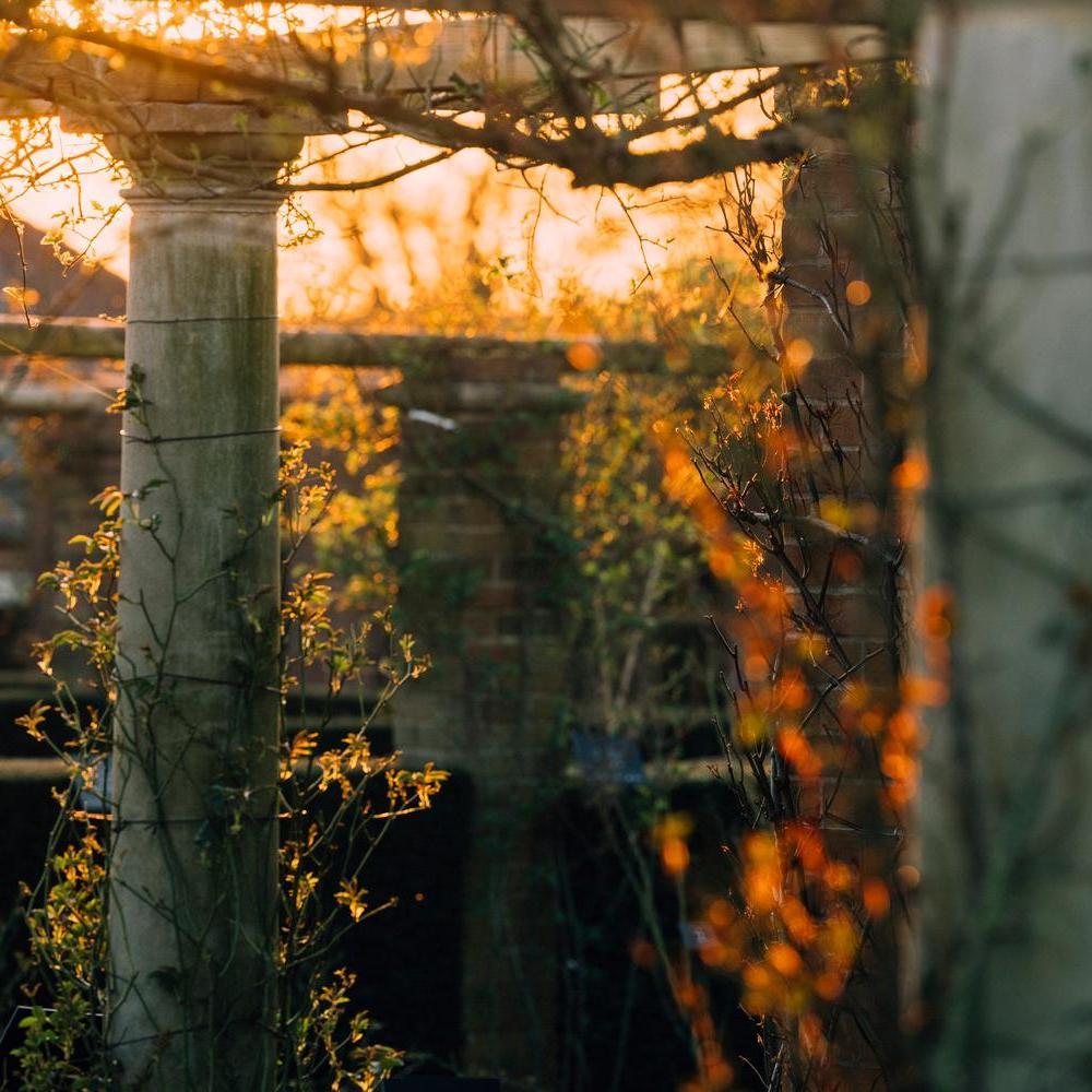 AM_winter_rose_gardens