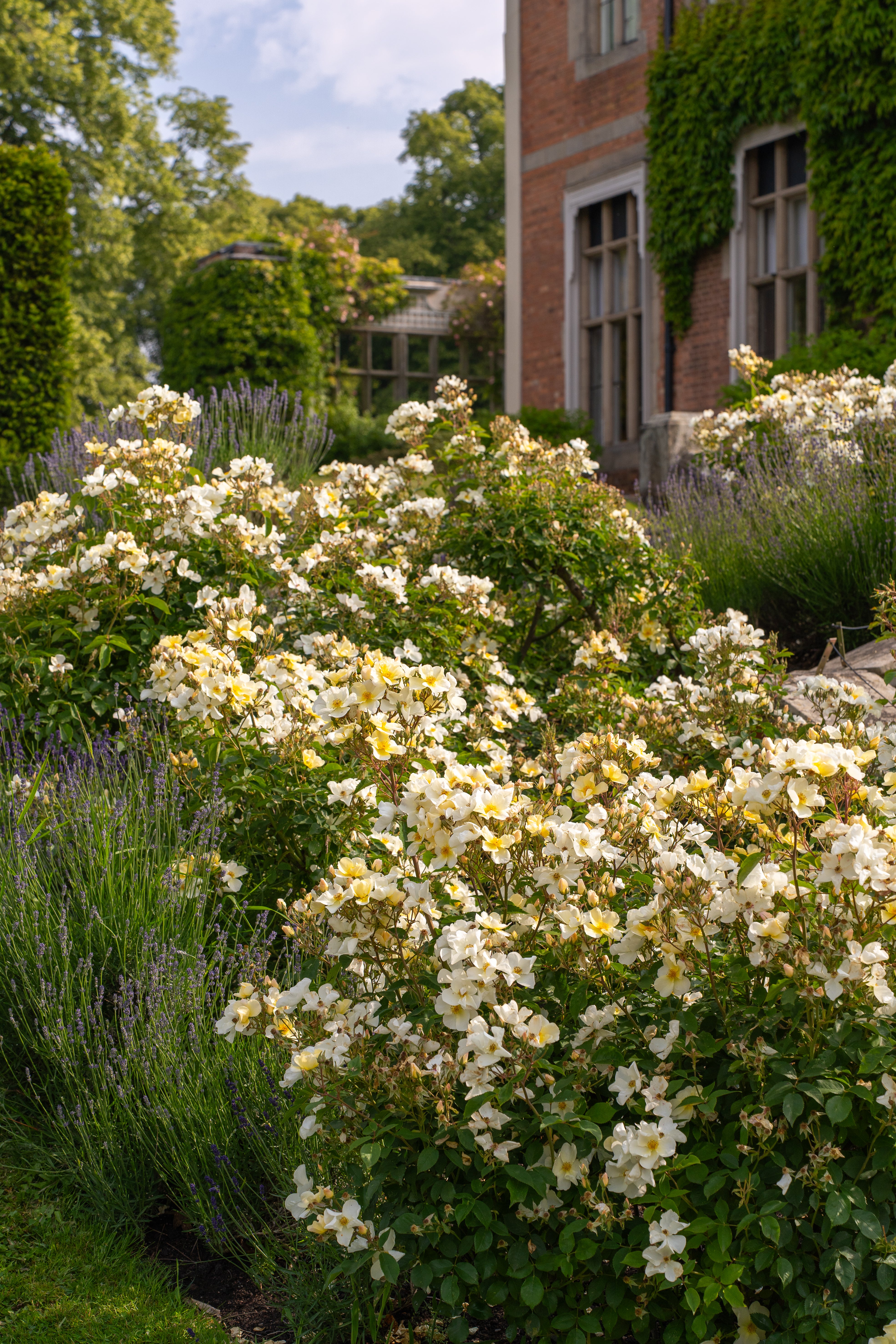 KewGardens_HodnetHall
