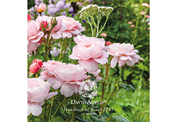 Handbook of Roses 2023 for the EU - the Queen of Sweden graces the front cover