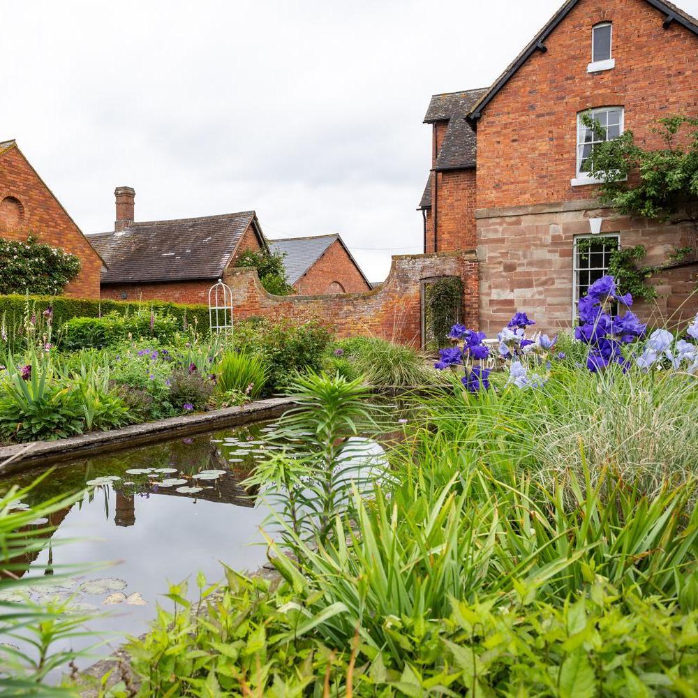 David Austin's house and garden in Shropshire.