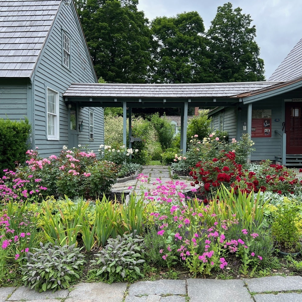 Glebe House Connecticut Rose_Quadrant