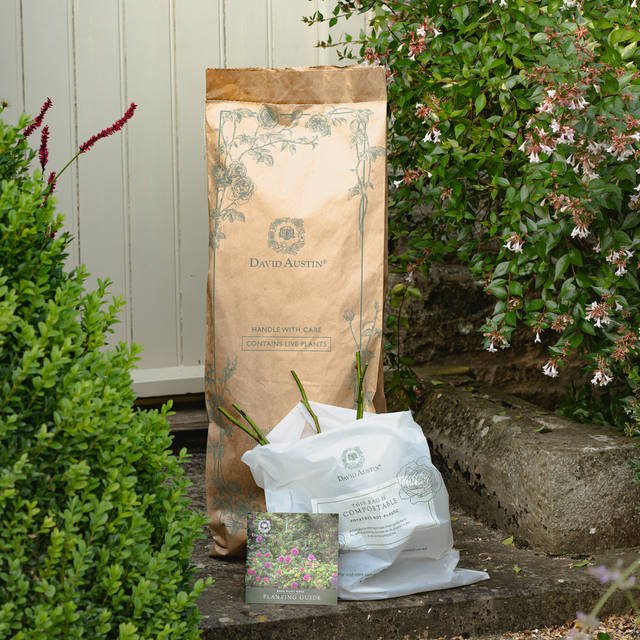 David C H Austin OBE