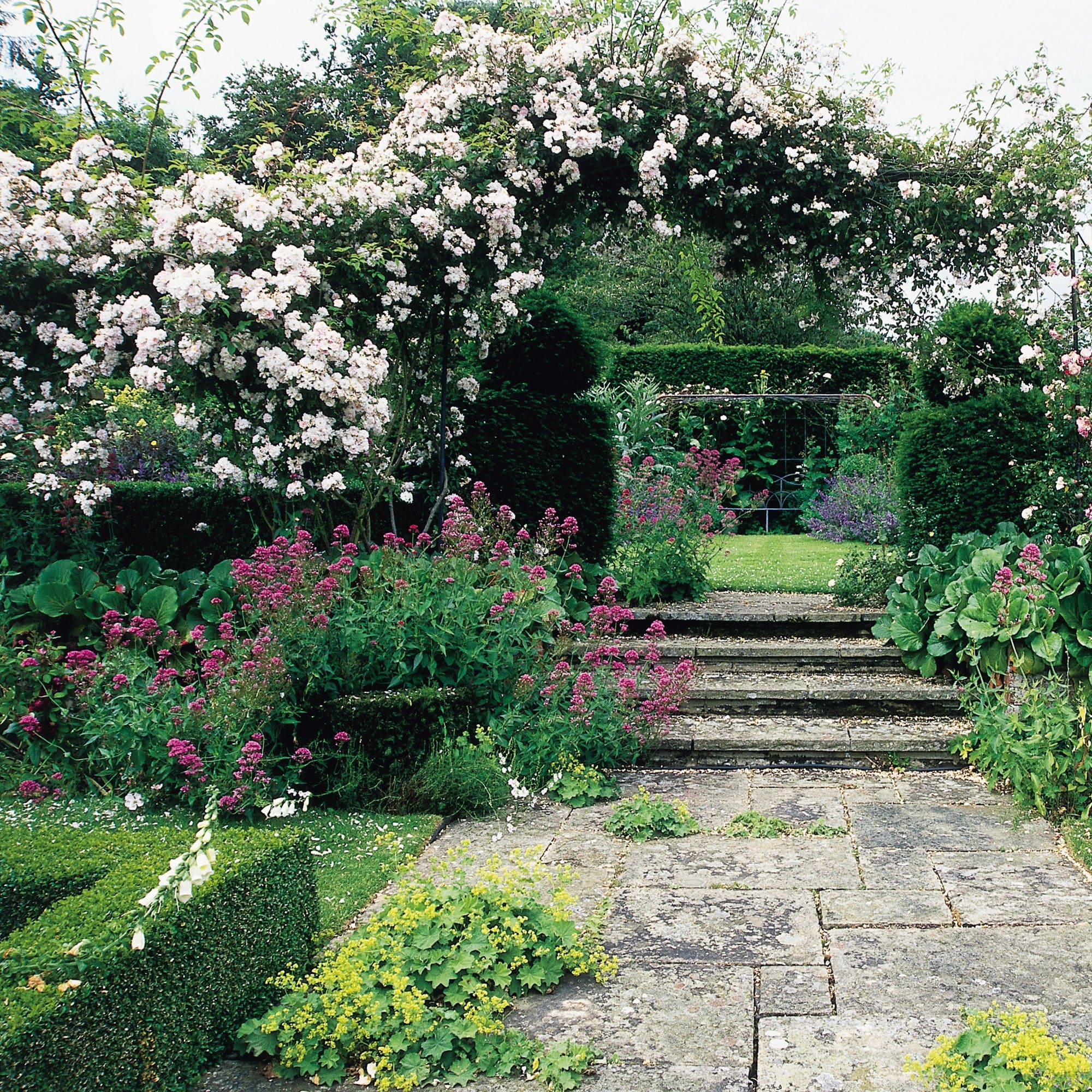 Paul’s Himalayan Musk