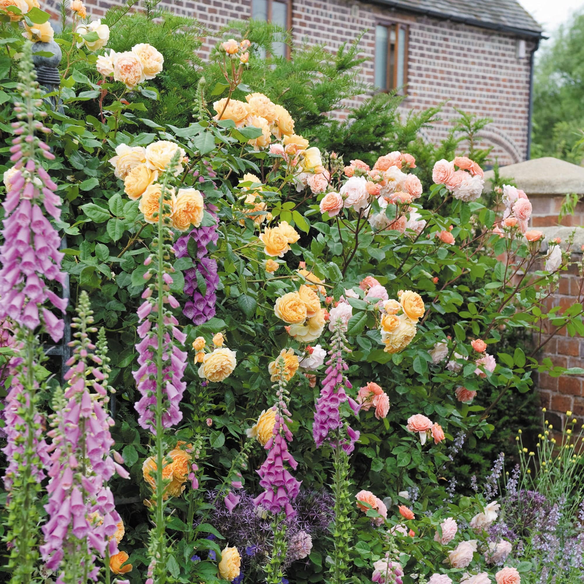 Crown Princess Margareta