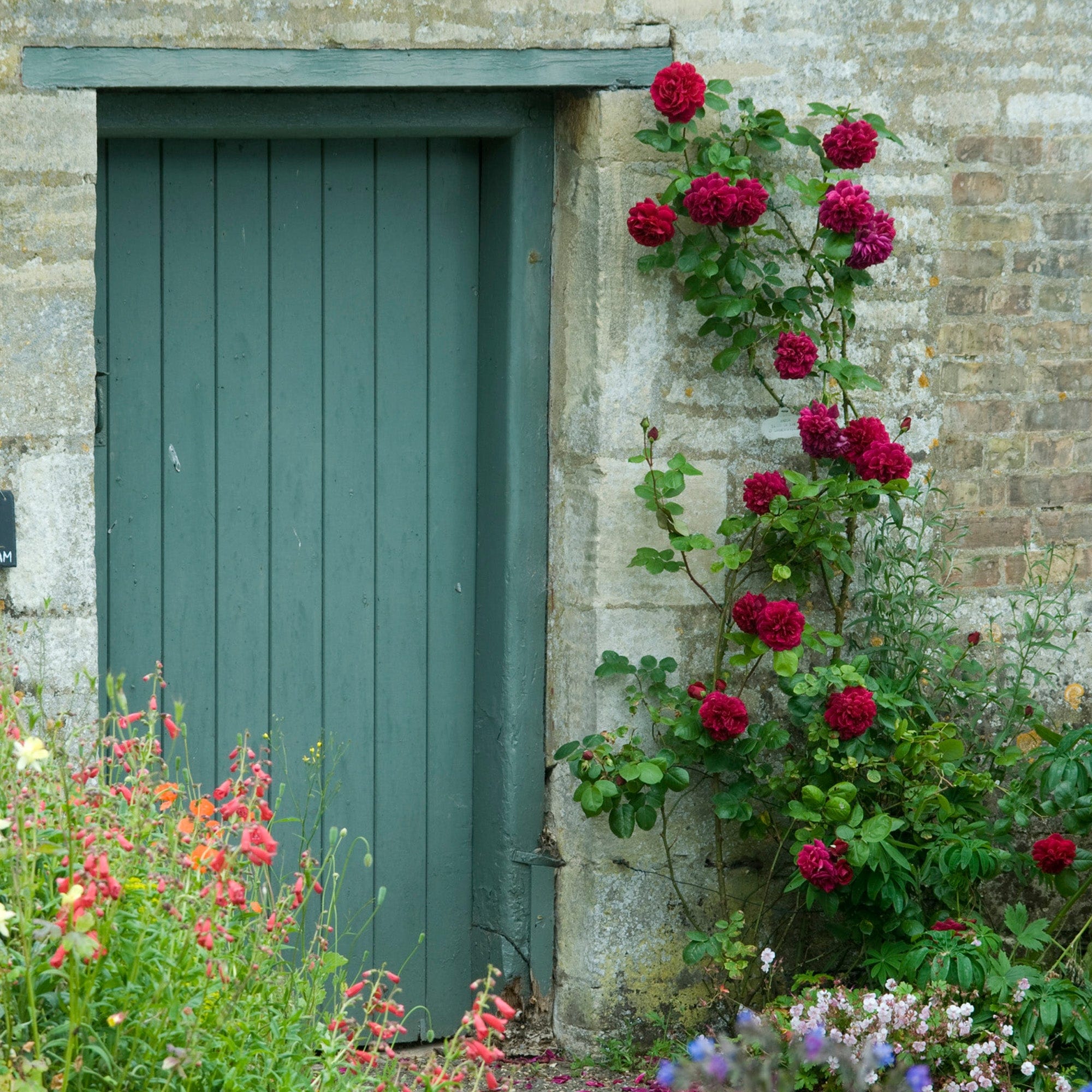 Tess of the d’Urbervilles