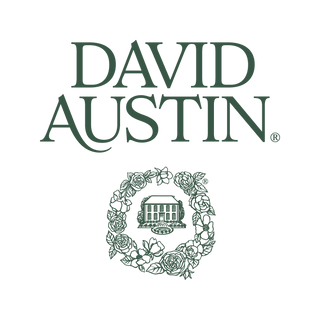 David Austin Roses - EU